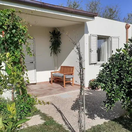 Pusortu أروسييْ