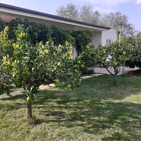 Pusortu Holiday home