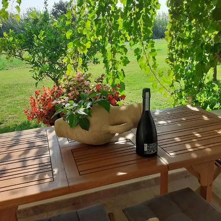 Pusortu * أروسييْ